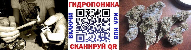 Где можно купить наркотики Новоаннинский Каннабис  Кокаин  ГАШ  МЕФ 