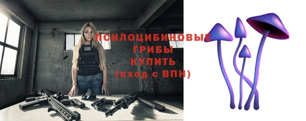 крисы Ладушкин
