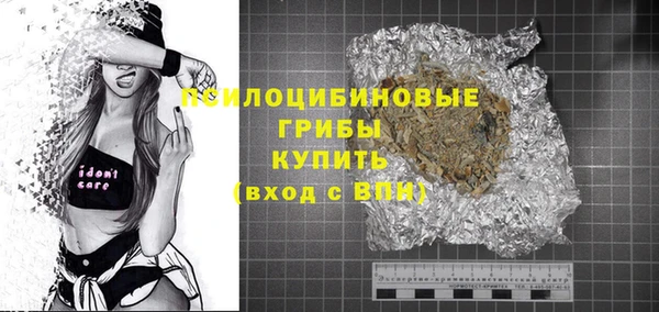 ешки Анива