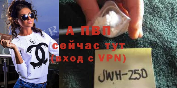 индика Аша