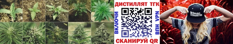 Дистиллят ТГК вейп  купить наркотик  Новоаннинский 